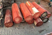Gỗ Hương và ứng dụng gỗ Hương trong đồ gỗ nội thất